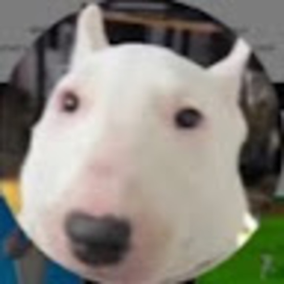 arenasallali23